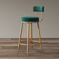 Nordic Backrest Armless Counter Stool Iron Bar Stool with Footrest and Cushion