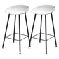 Modern Backrest Counter Stool Iron Cafe Bar Stool with Pedal and Acrylic Seat White 2 Piece Set Clearhalo 'Bar Furniture' 'Bar Stools' 'bar_stools' 'furn' 'furn_bar_stools' 'Furniture' 'Kitchen & Dining Furniture' 6095944