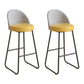 Industrial Round Bar Table Set 1/2/3 Pieces Stone Counter Table with Solid Back Stools Yellow 30"H Stools (Set of 2) Clearhalo 'Bar Furniture' 'furn' 'furn_home_bar_bar_sets' 'Furniture' 'Home Bars & Bar Sets' 'home_bar_bar_sets' 'Kitchen & Dining Furniture' 6105645