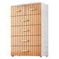 6-drawer Modern Plastic Storage Cabinet Non-Hanging Wardrobe Armoire