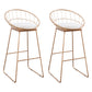 Glam Bucket Bar-stool Upholstered Footrest Low Back Shop Counter & Bar Stool