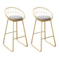 Nordic Backrest Armless Counter Stool Iron Kitchen Bar Stool with Gold Base
