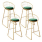 Nordic Backrest Armless Counter Stool Iron Kitchen Bar Stool with Gold Base