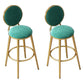 Nordic Armless Backrest Counter Stool Steel Kitchen Bar Stool with Cushion and Pedal Blackish Green 2 Piece Set Clearhalo 'Bar Furniture' 'Bar Stools' 'bar_stools' 'furn' 'furn_bar_stools' 'Furniture' 'Kitchen & Dining Furniture' 6122882