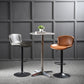 Modern Backrest Rotatable Counter Stool Iron Bar Stool with Cushion and Pedal