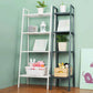 Contemporary Metal Bookshelf Ladder Shelf Bookcase for Study Room
