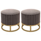 Glam Pouf Ottoman Velvet Upholstered Tear Resistant Round Ottoman with Chair Legs Gray 2 Piece Set Clearhalo 'furn' 'furn_ottomans_poufs' 'Furniture' 'Living Room Furniture' 'Ottomans & Poufs' 'ottomans_poufs' 6136793