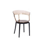 Contemporary Style Arm Chair Open Back Side Plastic Chair for Dining Room