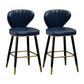 Nordic Style Bar Stool Metal Counter Bar Stool for Restaurant Navy Blue 2 Piece Set Clearhalo 'Bar Furniture' 'Bar Stools' 'bar_stools' 'furn' 'furn_bar_stools' 'Furniture' 'furniture_bar_stools' 'Kitchen & Dining Furniture' 6152419