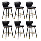 Nordic Style Bar Stool Metal Counter Bar Stool for Restaurant Black 6 Piece Set Clearhalo 'Bar Furniture' 'Bar Stools' 'bar_stools' 'furn' 'furn_bar_stools' 'Furniture' 'furniture_bar_stools' 'Kitchen & Dining Furniture' 6152442