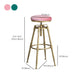 Contemporary Iron Adjustable Height Bar Stool Upholstered Bar Stool with Footrest