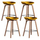 Glam Solid Wood Counter Height Stool Plastic Bar Stool Bar Stool