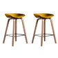 Glam Solid Wood Counter Height Stool Plastic Bar Stool Bar Stool