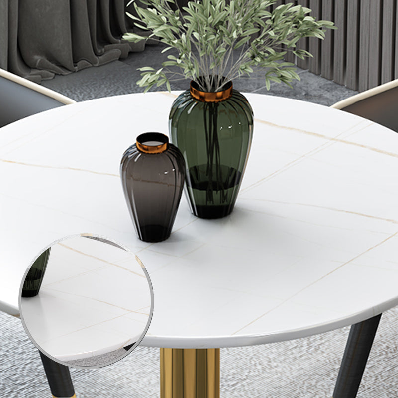 Glam Style Sintered Stone Dining Set Round 1/2/3/4/5 Pieces Dining Table Set Clearhalo 'Dining Room Sets' 'Dining Tables & Seating' 'dining_room_set' 'furn' 'furn_dining_room_set' 'Furniture' 'Kitchen & Dining Furniture' 6154433