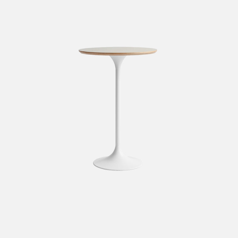 Contemporary Round Bar Height Table Metal Pedestal Bar Table for Cafe and Breakroom Solid Wood Natural Clearhalo 'Bar Furniture' 'Bar Tables' 'bar_tables' 'furn' 'furn_bar_tables' 'Furniture' 'Kitchen & Dining Furniture' 6162793