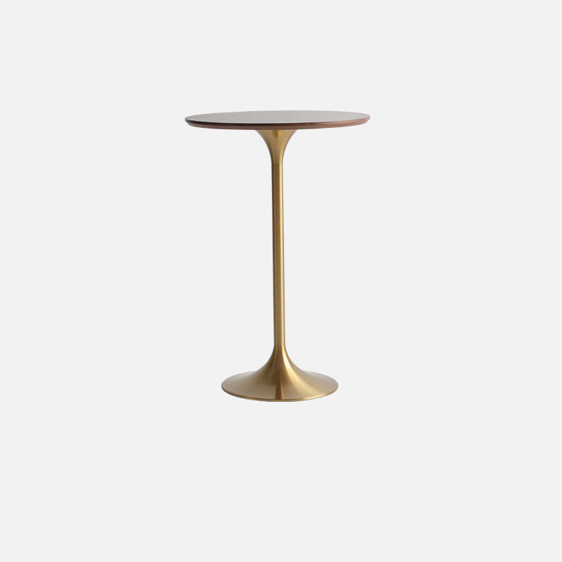 Contemporary Round Bar Height Table Metal Pedestal Bar Table for Cafe and Breakroom Solid Wood Dark Brown Clearhalo 'Bar Furniture' 'Bar Tables' 'bar_tables' 'furn' 'furn_bar_tables' 'Furniture' 'Kitchen & Dining Furniture' 6162798