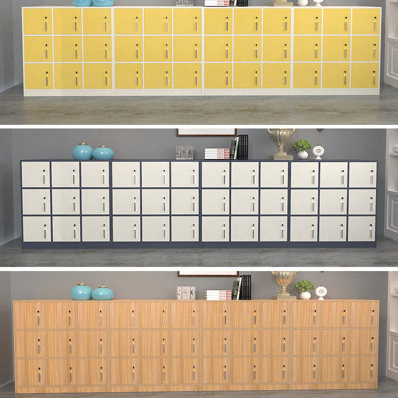 Gabinete de almacenamiento moderno de acabado mate de madera fabricada con puertas con bisagras
