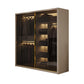 Modern Style Glass Wardrobe Cloth Rod Included Wardrobe Closet with 1-Drawer