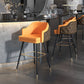Tabouret de comptoir de dossier d'accoudoir moderne tabouret de Bar de café en fer avec coussin et pédale