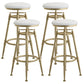 Industrial Armless Liftable Counter Stool Iron Cafe Bar Stool with Pedal