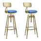 Industrial Armless Liftable Counter Stool Iron Cafe Bar Stool with Pedal