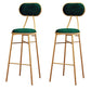 Nordic Low Back Bar-stool Round Seat Counter Bar Stool with Metal Legs Green 2 Piece Set Bar Stool(30"H) Clearhalo 'Bar Furniture' 'Bar Stools' 'bar_stools' 'furn' 'furn_bar_stools' 'Furniture' 'Kitchen & Dining Furniture' 6222099