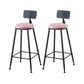 Glam Table and Stool Set Oval 1/2/3 Pieces Bar Pub Table Set Black Pink 29.5"H Stool (Set of 2) Clearhalo 'Bar Furniture' 'furn' 'furn_home_bar_bar_sets' 'Furniture' 'Home Bars & Bar Sets' 'home_bar_bar_sets' 'Kitchen & Dining Furniture' 6222617