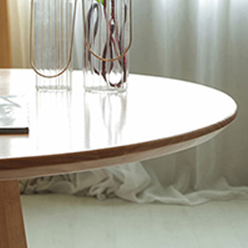 Oval Dining Table Modern Solid Wood Dining Table for Dining Room