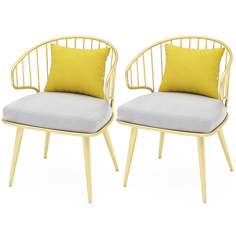 Contemporary Kitchen Dining Armchair Metal Side Dining Chairs in Gold Gray 2 Piece Set Clearhalo 'Dining Chairs' 'Dining Tables & Seating' 'dining_chair' 'furn' 'furn_dining_chair' 'Furniture' 'Kitchen & Dining Furniture' 6230567