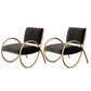 Upholstered Lounge Chair Arms Included Chair with Gold Tone Legs Black Flannel 2 Piece Set Clearhalo 'Accent Chairs' 'accent_chairs' 'Chairs & Seating' 'furn' 'furn_accent_chairs' 'Furniture' 'Living Room Furniture' 6235458