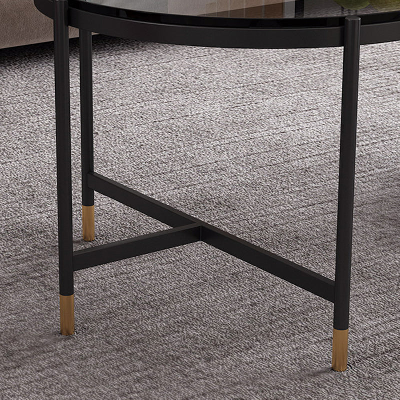 Contemporary Elliptical Glass & Slate Coffee Cocktail Table with Storage Shelf Clearhalo 'Coffee & Accent Tables' 'Coffee Tables' 'coffee_tables' 'furn' 'furn_coffee_tables' 'Furniture' 'Living Room Furniture' 6236595