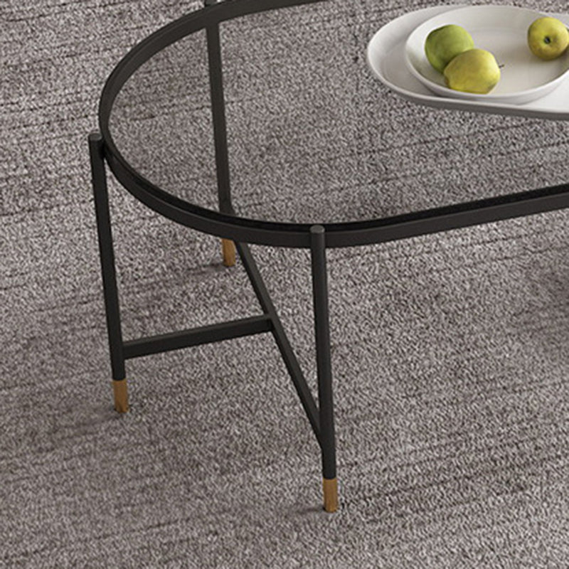 Contemporary Elliptical Glass & Slate Coffee Cocktail Table with Storage Shelf Clearhalo 'Coffee & Accent Tables' 'Coffee Tables' 'coffee_tables' 'furn' 'furn_coffee_tables' 'Furniture' 'Living Room Furniture' 6236596