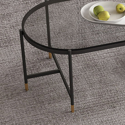 Contemporary Elliptical Glass & Slate Coffee Cocktail Table with Storage Shelf Clearhalo 'Coffee & Accent Tables' 'Coffee Tables' 'coffee_tables' 'furn' 'furn_coffee_tables' 'Furniture' 'Living Room Furniture' 6236596