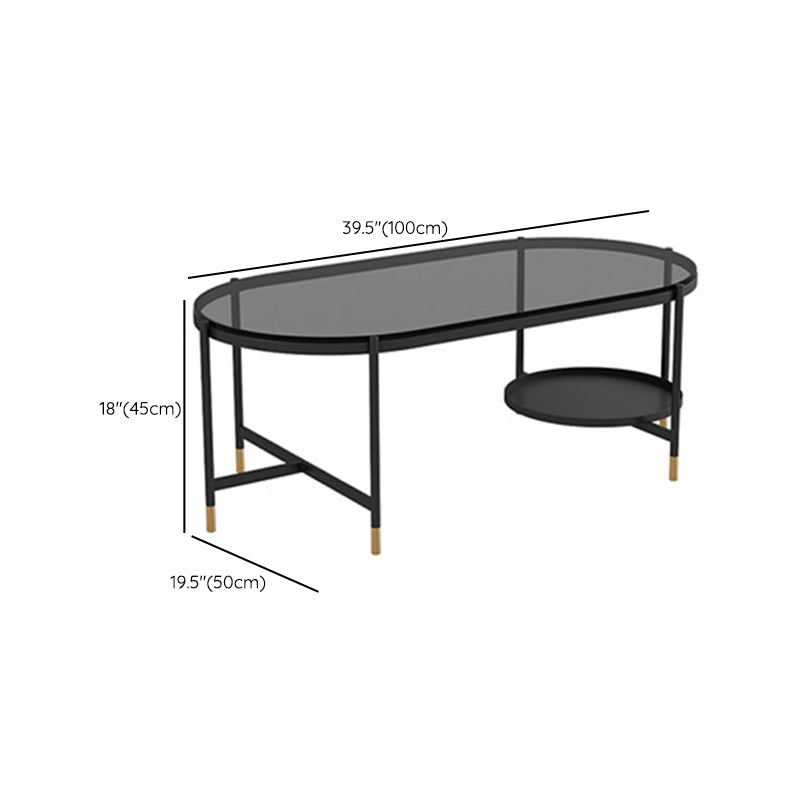 Contemporary Elliptical Glass & Slate Coffee Cocktail Table with Storage Shelf Clearhalo 'Coffee & Accent Tables' 'Coffee Tables' 'coffee_tables' 'furn' 'furn_coffee_tables' 'Furniture' 'Living Room Furniture' 6236605