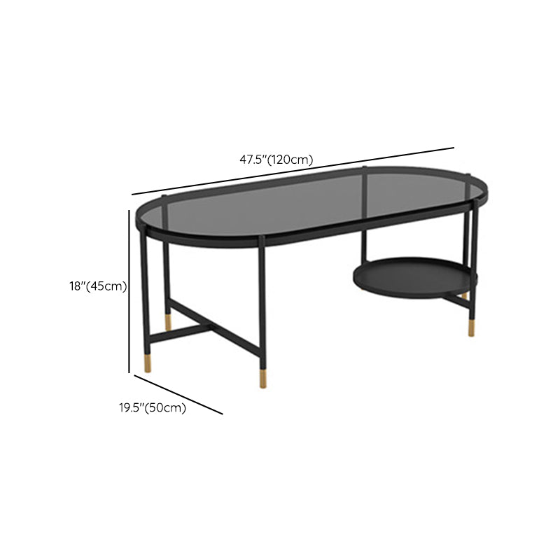 Contemporary Elliptical Glass & Slate Coffee Cocktail Table with Storage Shelf Clearhalo 'Coffee & Accent Tables' 'Coffee Tables' 'coffee_tables' 'furn' 'furn_coffee_tables' 'Furniture' 'Living Room Furniture' 6236606