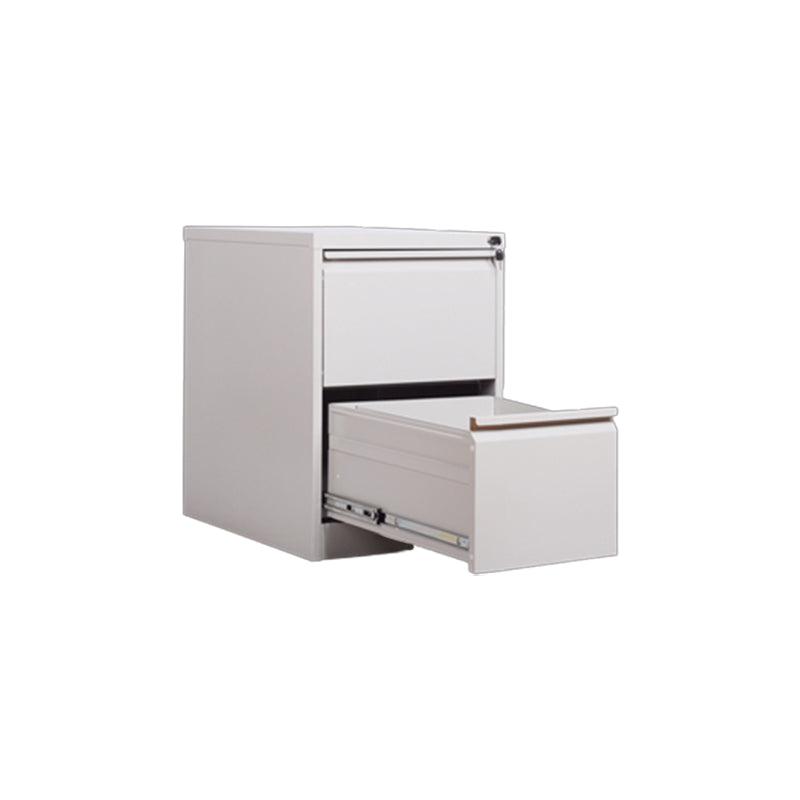 Steel Filing Cabinet Contemporary File Cabinet with Lock and Storage Silver Casters Not Included 2 Clearhalo 'Filing Cabinets' 'filling_cabinets' 'furn' 'furn_filling_cabinets' 'Furniture' 'Office Furniture' 6238317