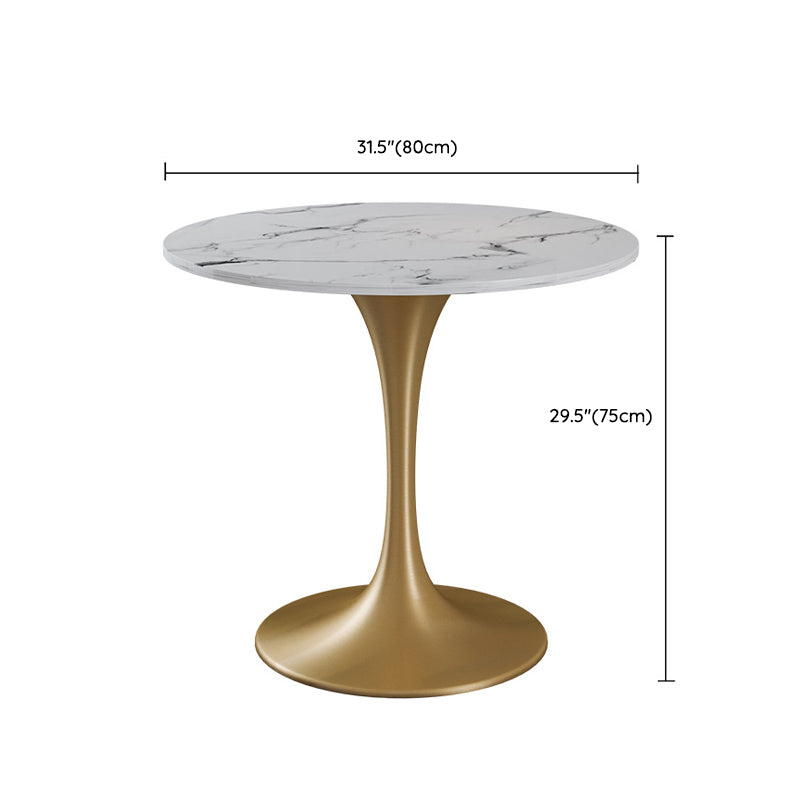 Modern Style Sintered Stone Dining Table Set White 1/2/4/5 Pieces Dining Set for Home Use Clearhalo 'Dining Room Sets' 'Dining Tables & Seating' 'dining_room_set' 'furn' 'furn_dining_room_set' 'Furniture' 'Kitchen & Dining Furniture' 6239394