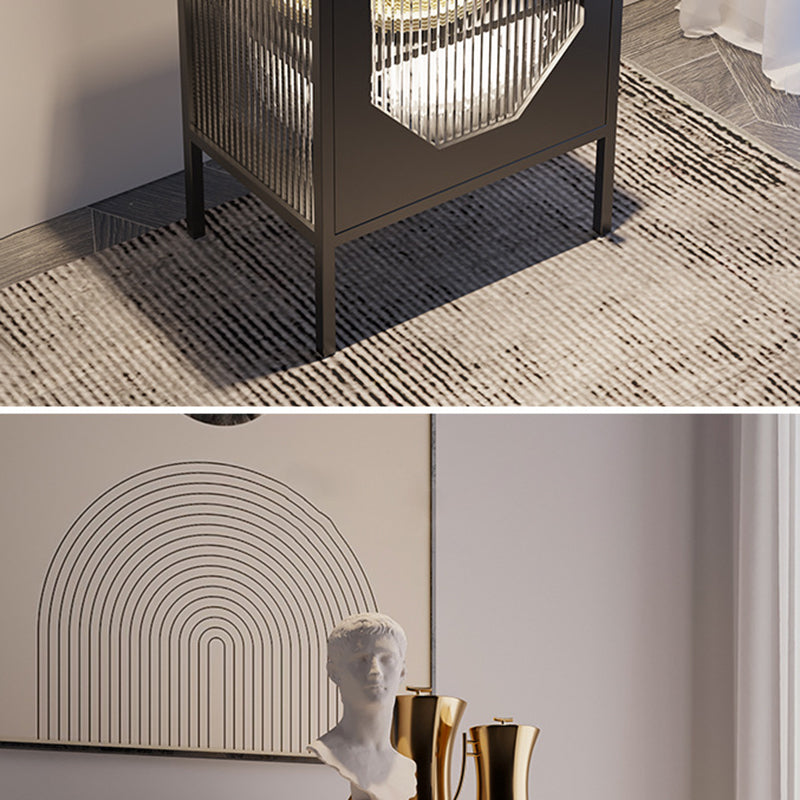 Curio Curio Curio Armading Metal Display con porta per soggiorno