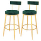 Contemporary Style Upholstered Counter Stool Bar-height Bar Stool with Metal Legs Green Gold 2 Piece Set Clearhalo 'Bar Furniture' 'Bar Stools' 'bar_stools' 'furn' 'furn_bar_stools' 'Furniture' 'Kitchen & Dining Furniture' 6244709