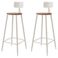 Metal Indoor/ Outdoor Counter Stools Modern Round Armless Bar Stool
