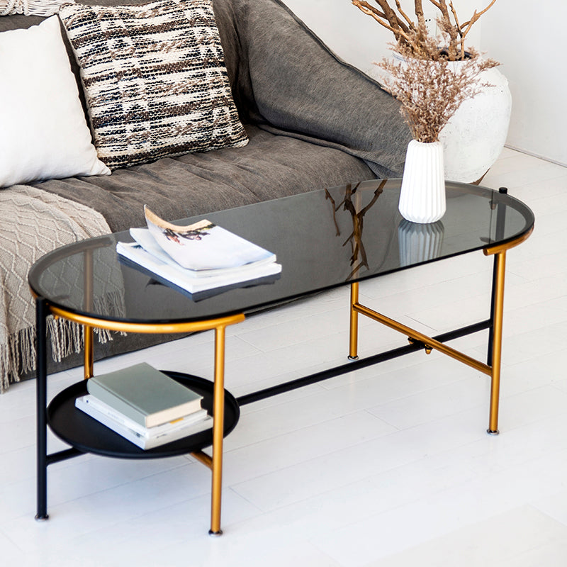 Modernism Elliptical Glass Top Coffee Cocktail Table with Shelf 39.5"L x 19.5"W x 18"H Clearhalo 'Coffee & Accent Tables' 'Coffee Tables' 'coffee_tables' 'furn' 'furn_coffee_tables' 'Furniture' 'Living Room Furniture' 6254587