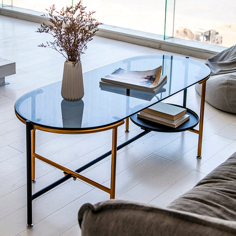 Modernism Elliptical Glass Top Coffee Cocktail Table with Shelf 47"L x 22"W x 18"H Clearhalo 'Coffee & Accent Tables' 'Coffee Tables' 'coffee_tables' 'furn' 'furn_coffee_tables' 'Furniture' 'Living Room Furniture' 6254590