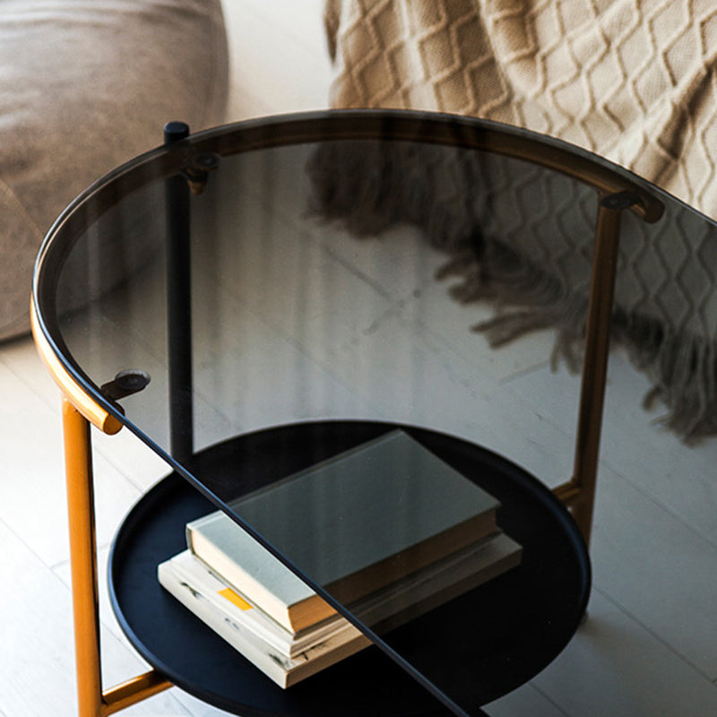 Modernism Elliptical Glass Top Coffee Cocktail Table with Shelf Clearhalo 'Coffee & Accent Tables' 'Coffee Tables' 'coffee_tables' 'furn' 'furn_coffee_tables' 'Furniture' 'Living Room Furniture' 6254595