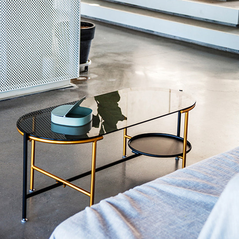 Modernism Elliptical Glass Top Coffee Cocktail Table with Shelf Clearhalo 'Coffee & Accent Tables' 'Coffee Tables' 'coffee_tables' 'furn' 'furn_coffee_tables' 'Furniture' 'Living Room Furniture' 6254596