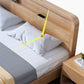 Storage Solid Wood Panel Bed Rubberwood Standard Bed with Headboard