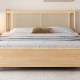Solid Wood Standard Bed Solid Color Tropical Panel Bed With Custom Gold Legs