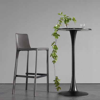 Contemporary Metal Bar Stool Backrest Counter Stool for Living Room