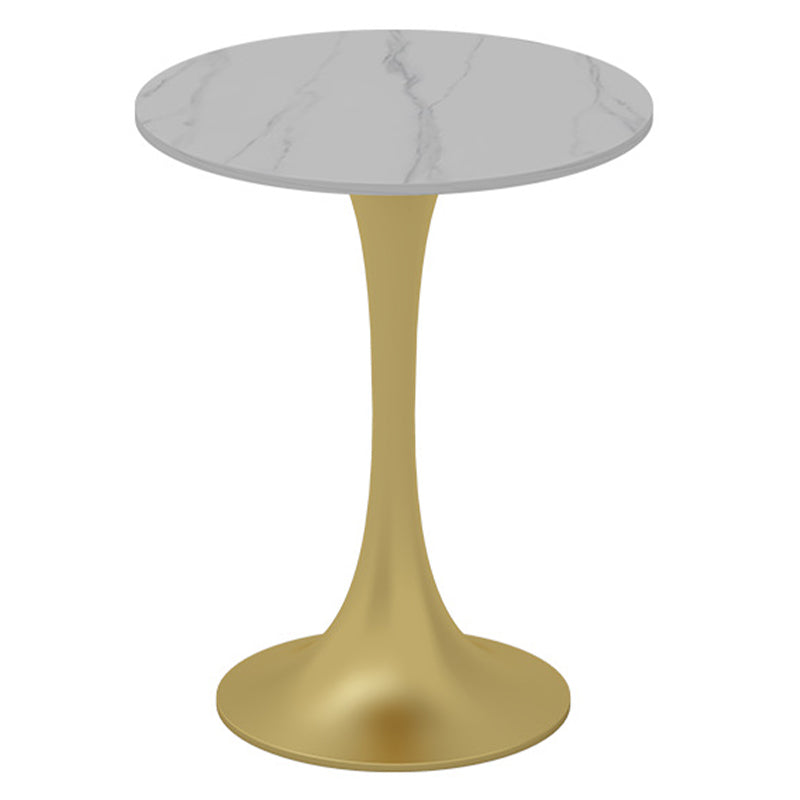 Glam Sintered Stone Dining Table Metal Dining Table for Home Use Without Chairs Clearhalo 'Dining Tables & Seating' 'Dining Tables' 'dining_table' 'furn' 'furn_dining_table' 'Furniture' 'Kitchen & Dining Furniture' 6277234
