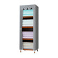 Modern Wardrobe with Solid Wood Frame Matte Finish Cabinet for Bedroom
