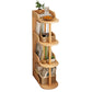 Modern Closed Back Book Shelf Wooden Bookcase for Living Room